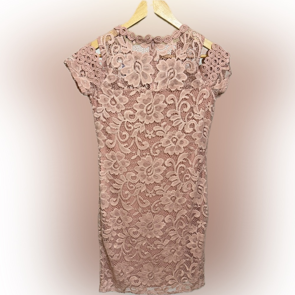 Ambiance Sheath Blush Pink Cap Sleeve Lace Dress Romantic Coquette Girl Large